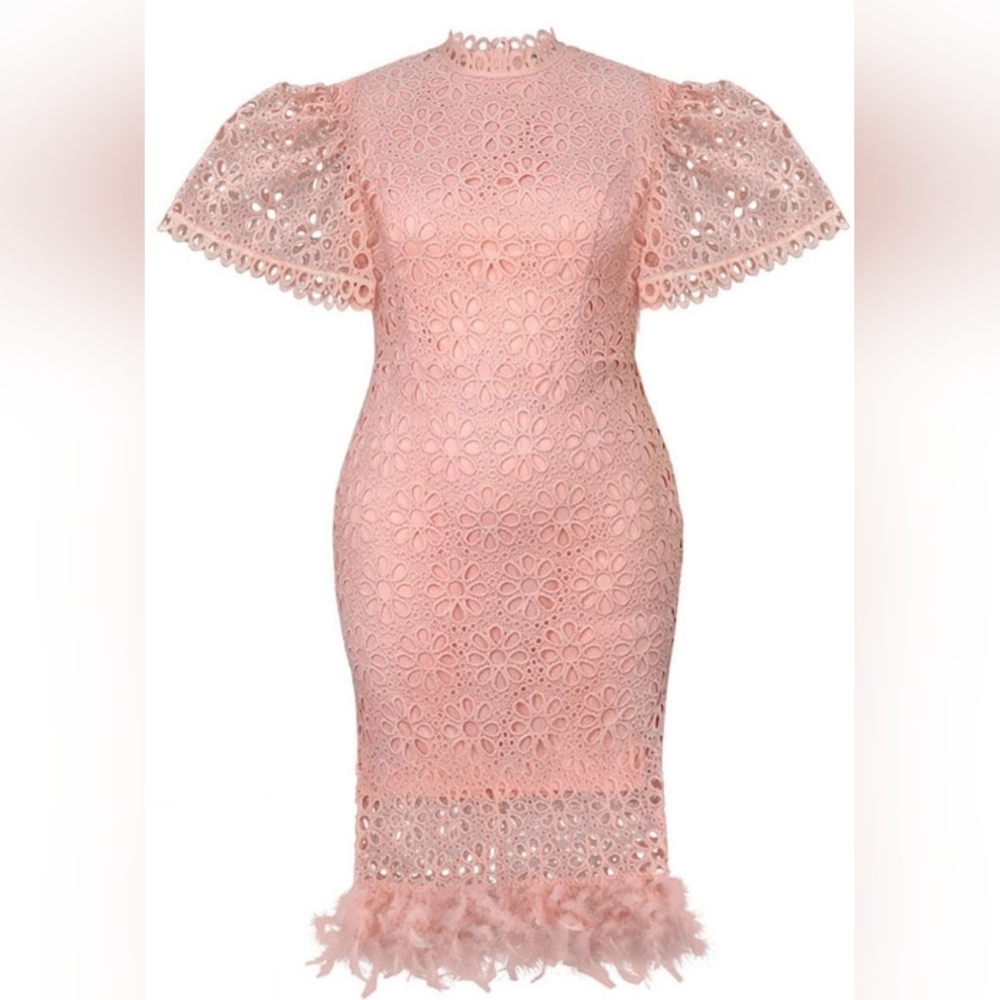 Elegant Soft Pink Embroidered Lace Feather Trim Spring Dress